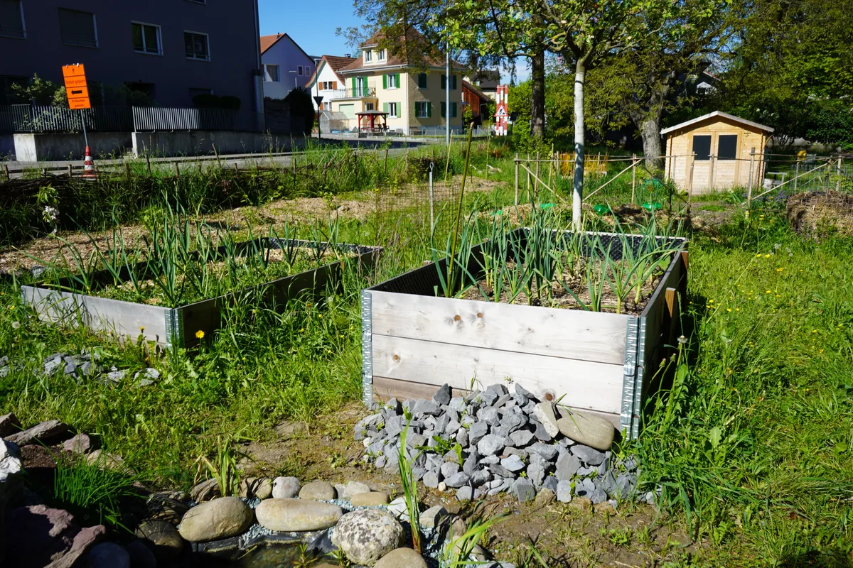 Die Projekte aus dem Ideenwettbewerb der Stadt Dübendorf nehmen langsam Form an.